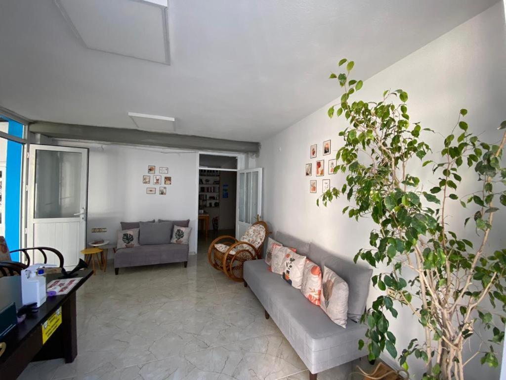 Nese Hotel Çeşme Exteriér fotografie